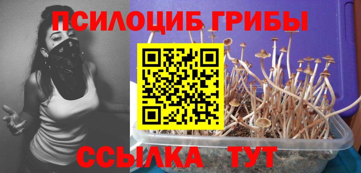 Галлюциногенные грибы MAGIC MUSHROOMS Семилуки