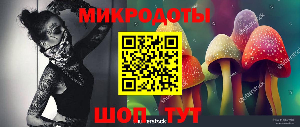 НБОМе Семилуки