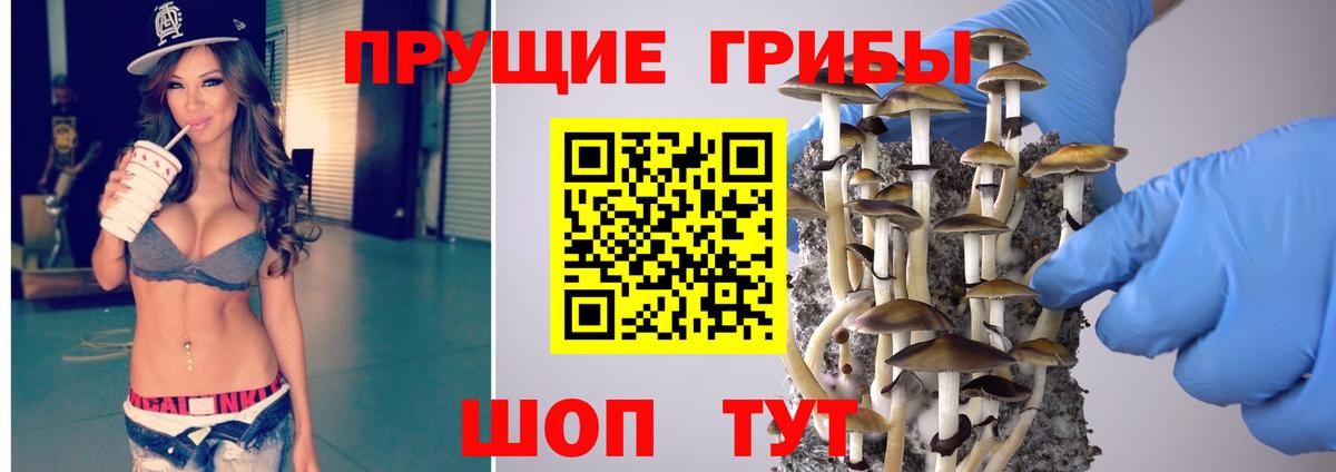 как найти закладки  Вход с VPN  Семилуки  Псилоцибиновые грибы прущие грибы 